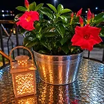Διαμέρισμα Rouchotas By Viktor 1rst Floor